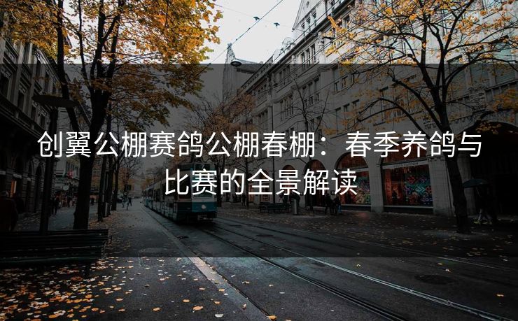 创翼公棚赛鸽公棚春棚：春季养鸽与比赛的全景解读