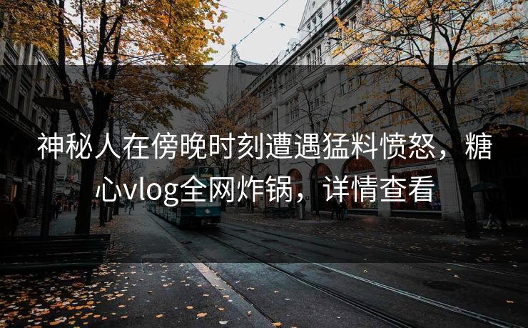 神秘人在傍晚时刻遭遇猛料愤怒，糖心vlog全网炸锅，详情查看