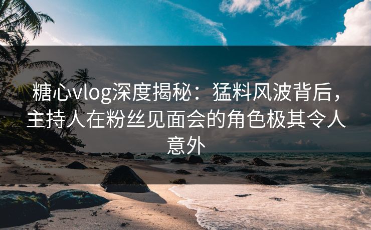 糖心vlog深度揭秘：猛料风波背后，主持人在粉丝见面会的角色极其令人意外